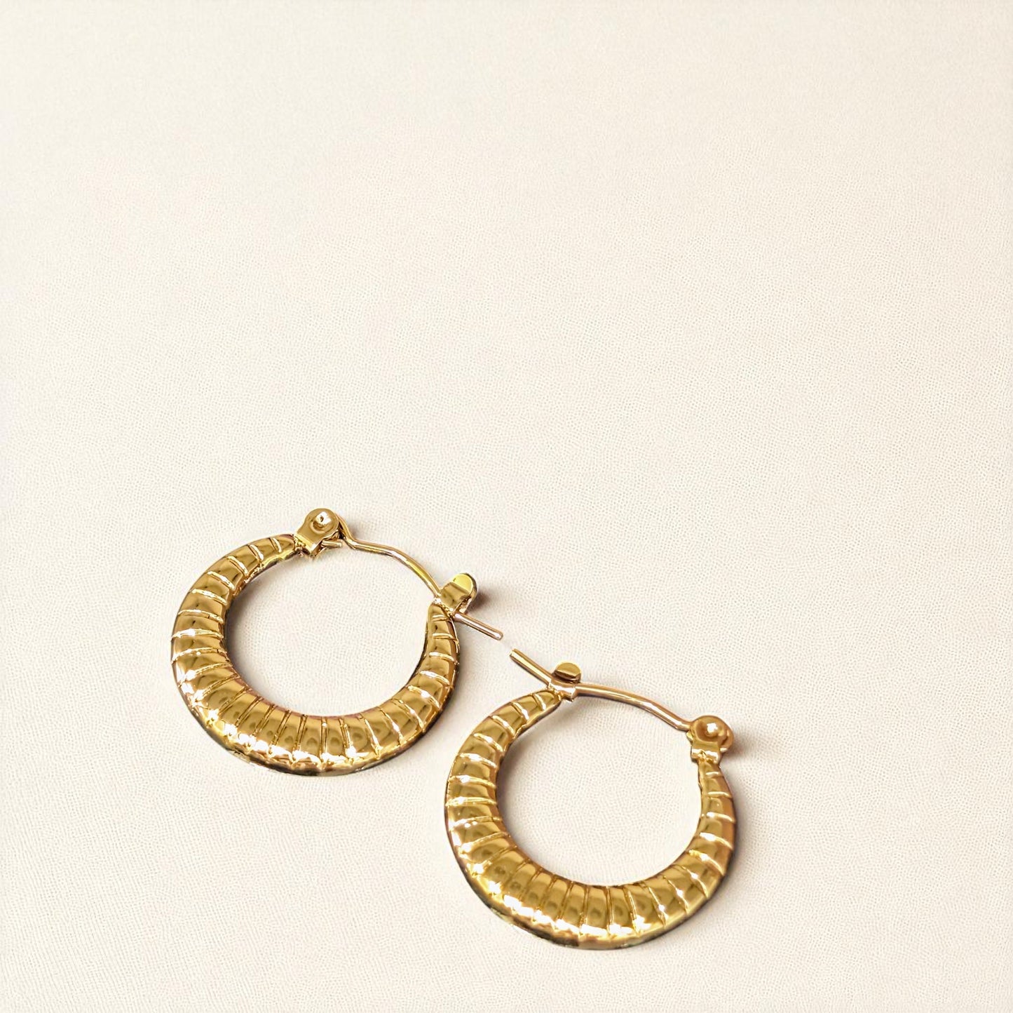 Arisha Gold Hoops Earrings