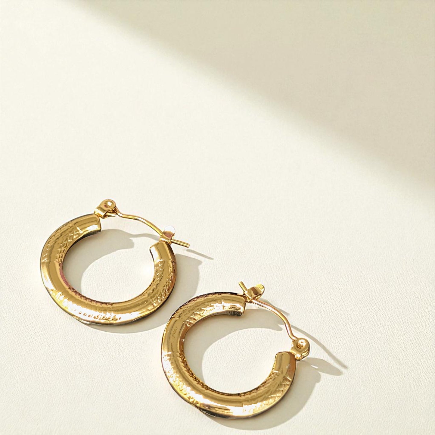 Tashvi Gold Hoops Earrings