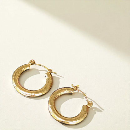 Tashvi Gold Hoops Earrings