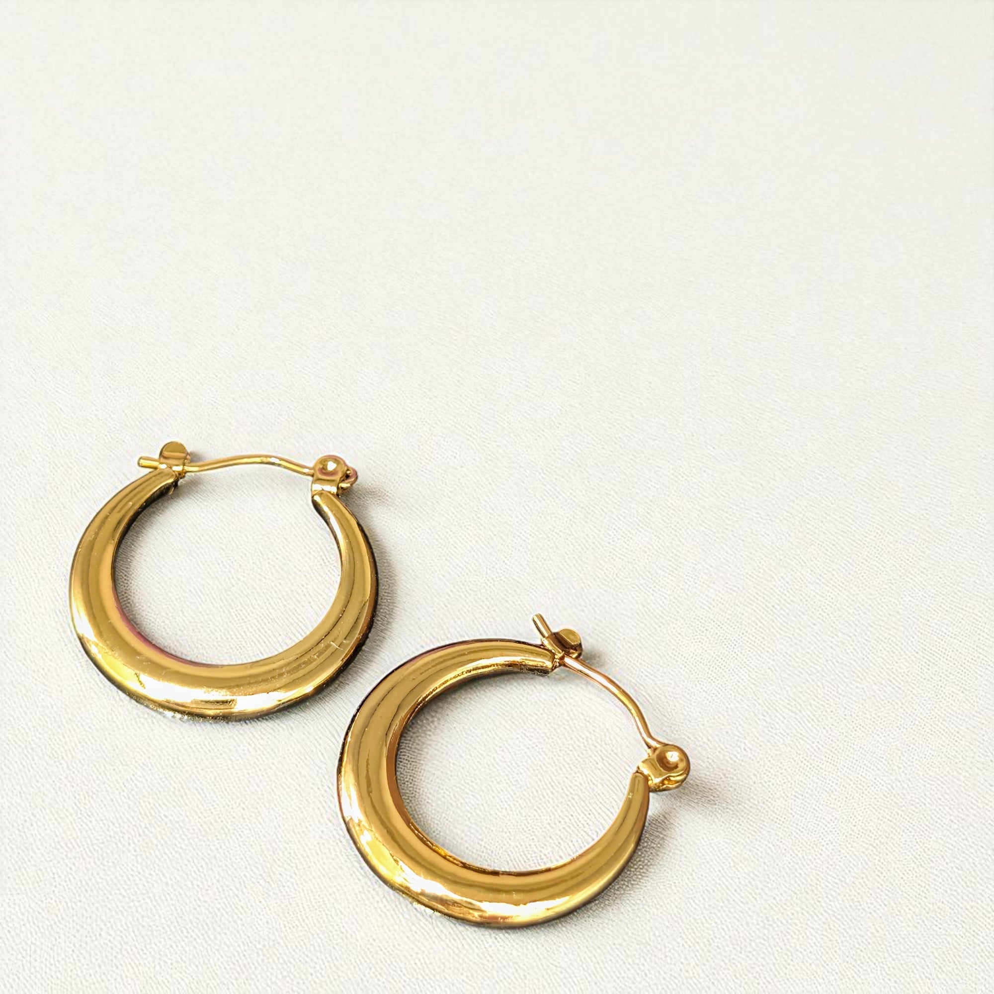 Elora Gold Hoops Earrings