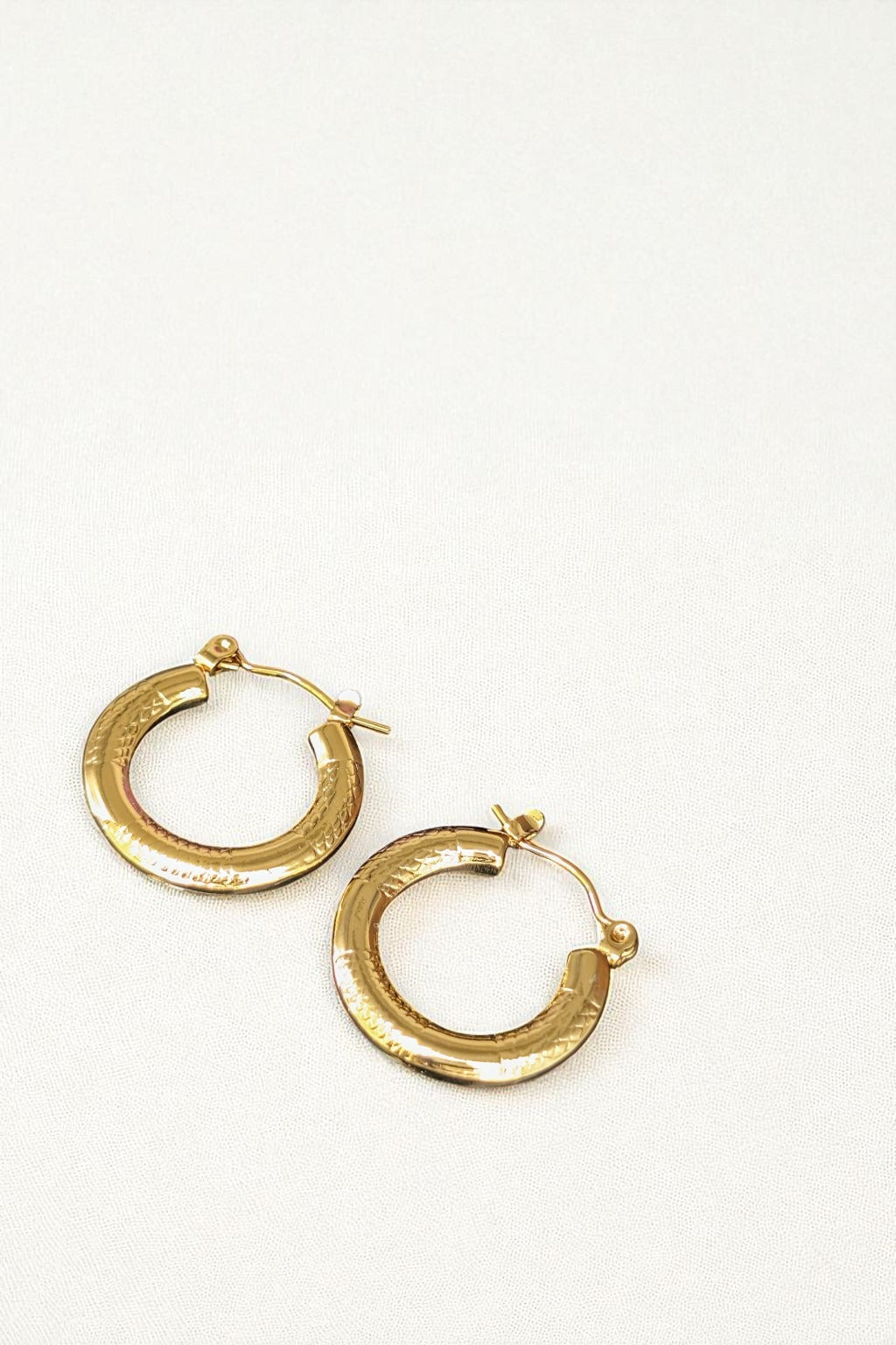 Tashvi Gold Hoops Earrings