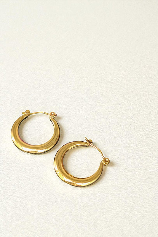 Elora Gold Hoops Earrings