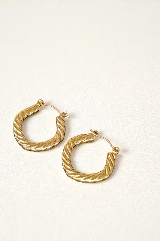Avyanna Gold Hoops Earrings